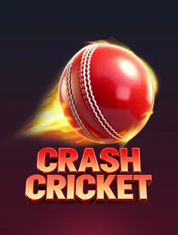 Crash Cricket app artwork