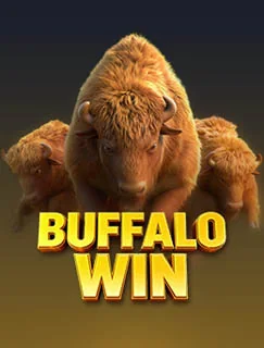 Buffalo Win app artwork