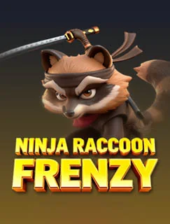 Ninja Raccoon Frenzy app artwork